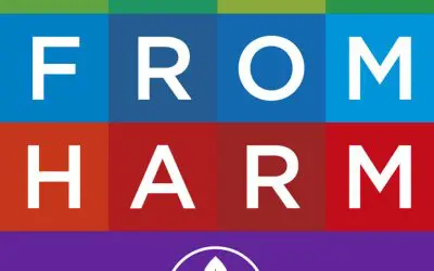 SAFE FROM HARMASSESSMENT GUIDELINES